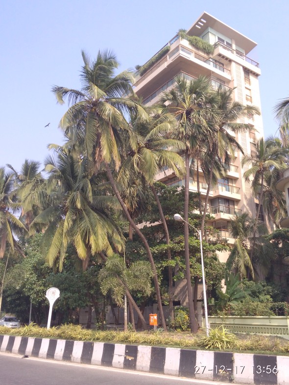 Main - Clefepete, Bandra West